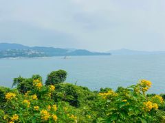 -大梅沙海滨公园