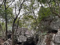 -千岛湖东南湖区