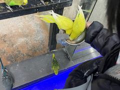 -昆明大悦城未来动物城(螺蛳湾中心店)
