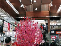 -紫荆城食品交易中心(华强北店)
