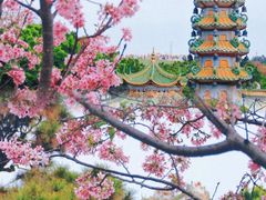 -宝墨园景区