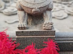 -广东圆玄道观