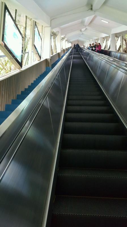 黄果树观光大扶梯