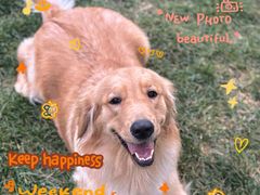 -百好乐宠物友好餐厅(朝外大街店)