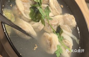 Chicken and Vegetable Dumplings