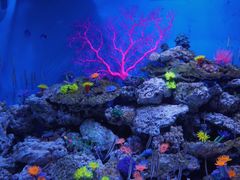 -成都浩海立方海洋公园