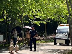 -金山植物公园