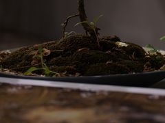 -二酉书店TOYOU BOOKS