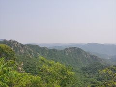 -大岭沟猕猴桃谷风景区