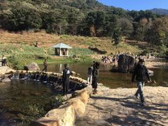 -广州市石门国家森林公园