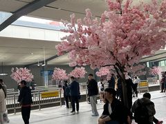 -黄浦路(地铁站)