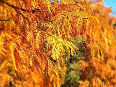 -南京市无想山景区