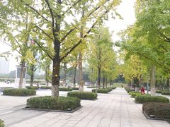 -百林公园-两江幸福广场