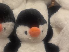 -TOYSRUS玩具反斗城(合肥华润万象城店)