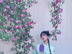 -墨宴(西洋湖店)