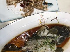 清蒸石斑鱼-鑫悦楼煎蟹·16年海鲜大排档