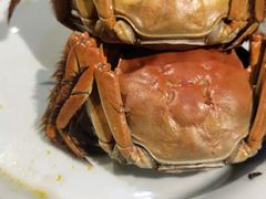 大闸蟹-孔乙己酒家(虹桥路店)