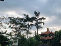 -深圳仙湖植物园