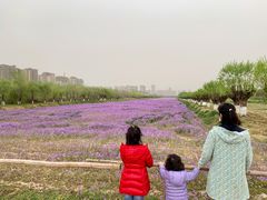 -汉长安城未央宫国家考古遗址公园