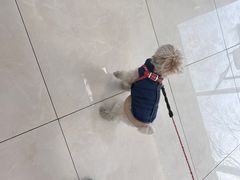 -北京观赏动物医院·24小时大型综合·猫专科·异宠专科