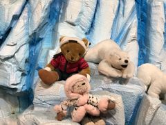 -济州岛泰迪熊博物馆