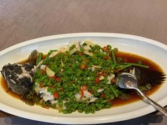 -香然会·园林雅宴(陆家嘴店)