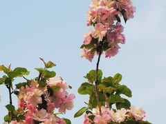 -元大都城垣遗址公园