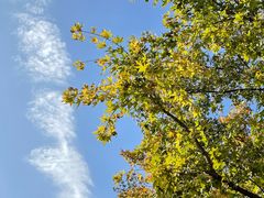 -北京西山国家森林公园