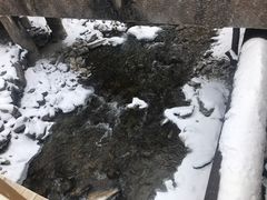 景点-黄龙山原始森林景区