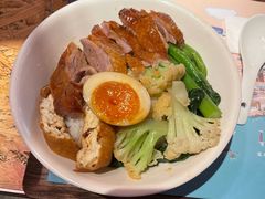 金奖卤鹅肉饭-陈鹏鹏潮汕菜(宝安机场T3航站楼店)