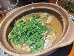 -九道菜有鸡鱼头(石鼓路店)