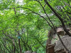 -北京密云天门山风景区