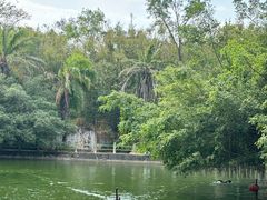 -广东茂名森林公园