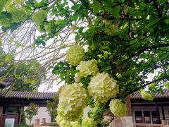 -常熟方塔园