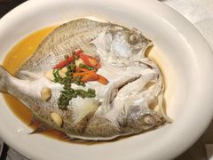 -绿茶餐厅(石家庄万象城店)