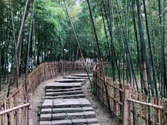 -乌镇东栅景区