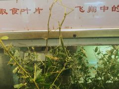 -上海昆虫博物馆