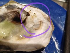 -星伦多自助料理·涮烤一体(江桥万达店)