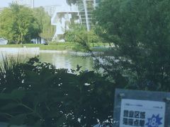 -Beans Solo豆号咖啡(百家湖花园店)