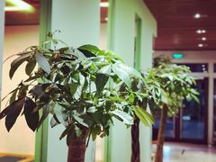 -Isofit 普拉提·婵柔工作室