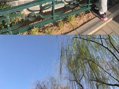 -莲湖公园