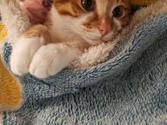 -百邦苹果官方授权维修(文景大厦店)