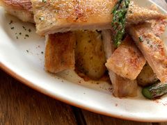 -TOMATITO(无限极荟店)