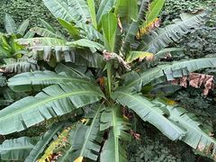 -沈长霞遵义羊肉粉(永丰店)