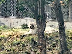 -石家庄市动物园