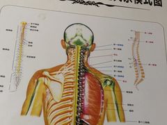 -张钰强中医正骨推拿连锁(华发商都店)