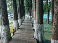 -东湖落雁景区