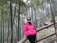 -莫干山风景区
