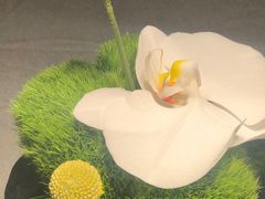 -南堂馆·新川菜(春熙路店)