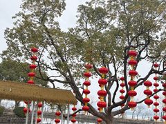 -无锡蠡湖国家湿地公园-蠡园